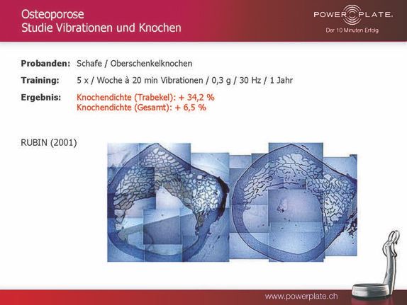 osteoporose vibrationen und knochen schafe rubin 2001